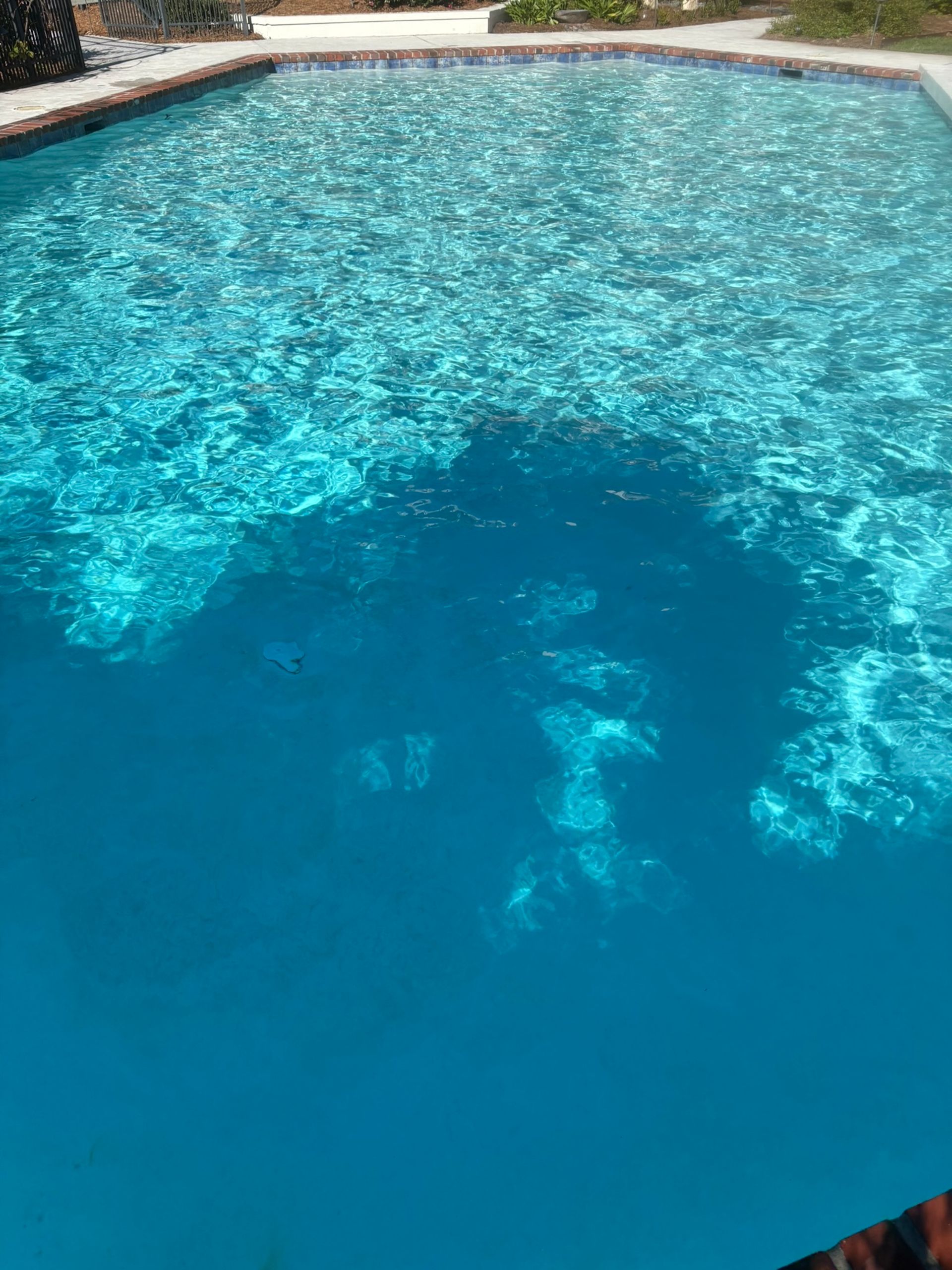 A clear, blue swimming pool reflecting sunlight.