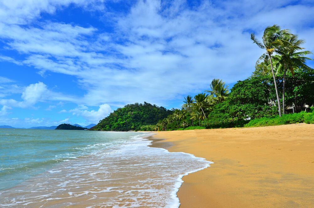 A Tropical Beach With Palm Trees And A Blue Sky On A Sunny Day — Pete's Painting Solutions In Trinity Beach, QLD