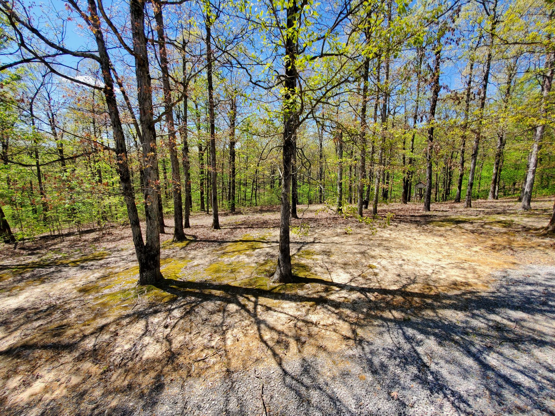 Blue Sky Realty Piggott, AR