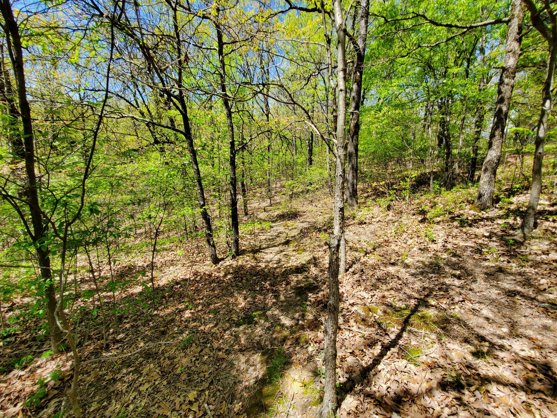 Blue Sky Realty Piggott, AR