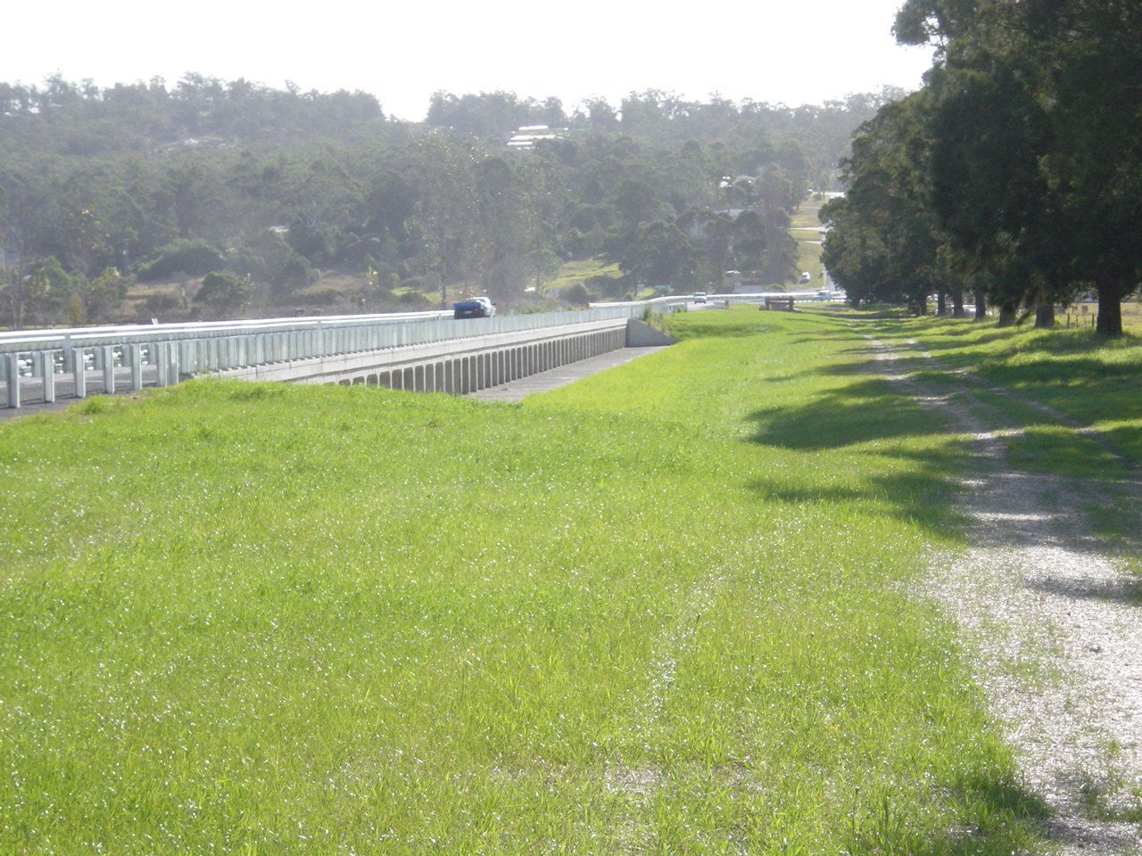 Lush green lawn curves beside a tree with yellow leaves, in a landscaped park. Hills in background, sunny day.
