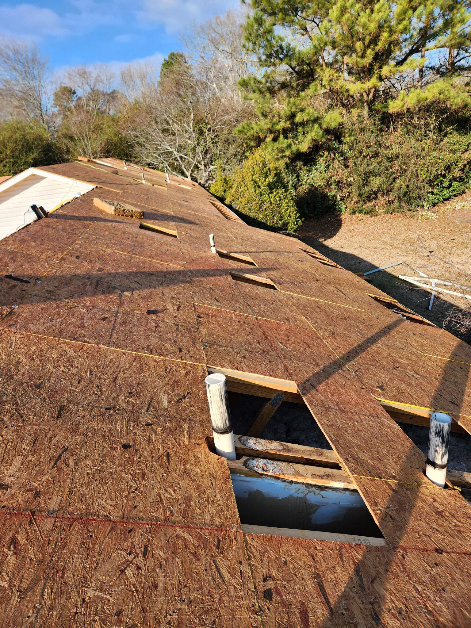 Rooftop with exposed brown plywood and open vent holes. Sunny outdoor setting with trees in the background.