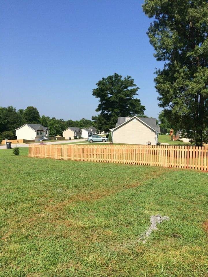 Suburban backyard with green grass, a wooden fence, and houses under a clear blue sky.