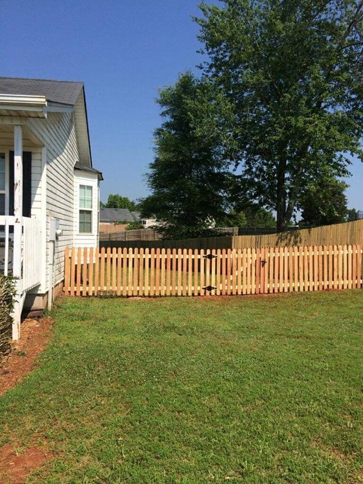 Backyard with green lawn, wooden fence, and a white house under a clear blue sky