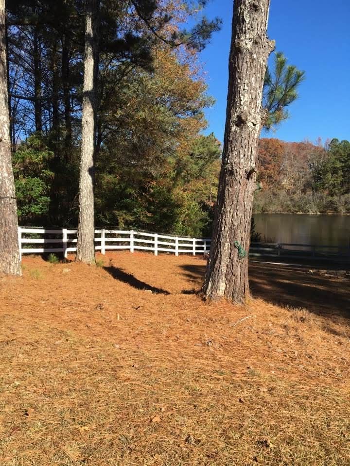 Autumn yard with tall trees, orange leaves, and a white fence beside a pond