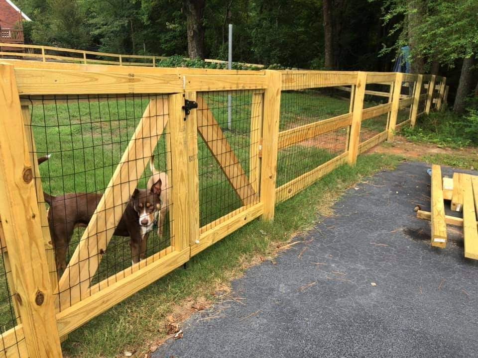 Wooden fenced dog pen beside a paved path, with two dogs behind the gate.