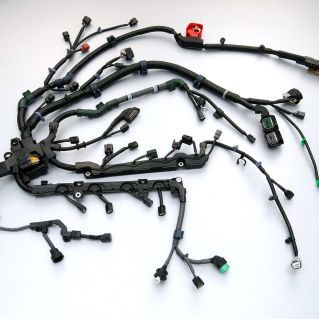 Long harnesses.