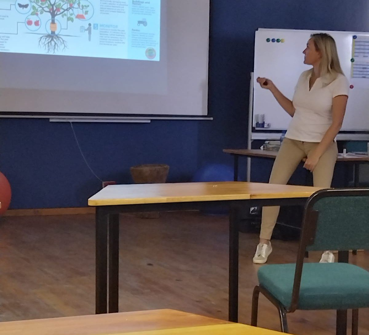 female lecturer pointing remote toward projection screen