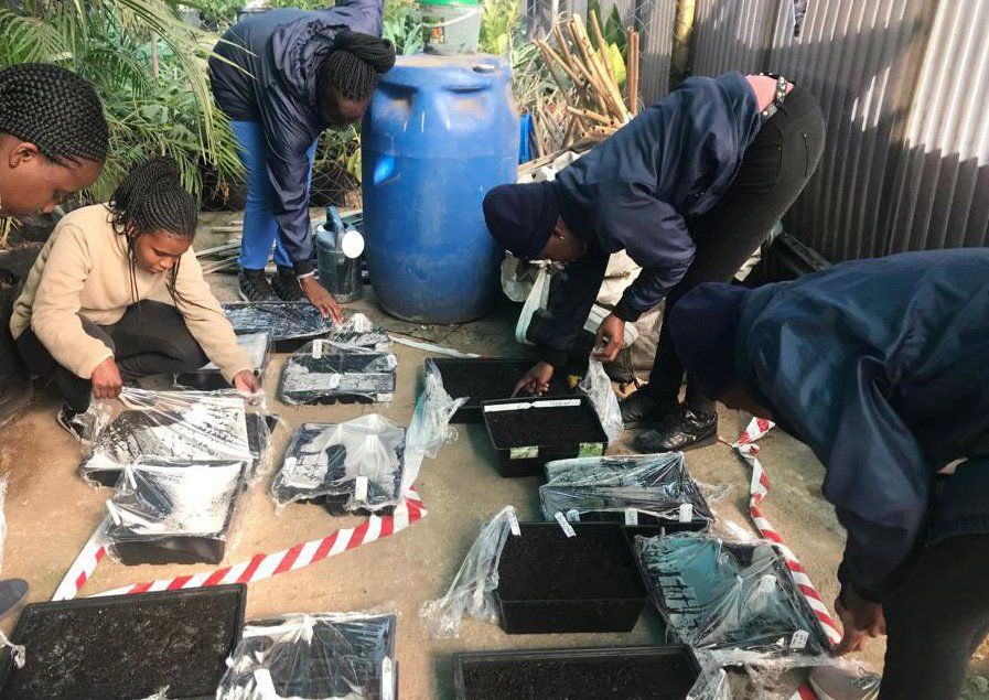 students planting shrubs in a nursery