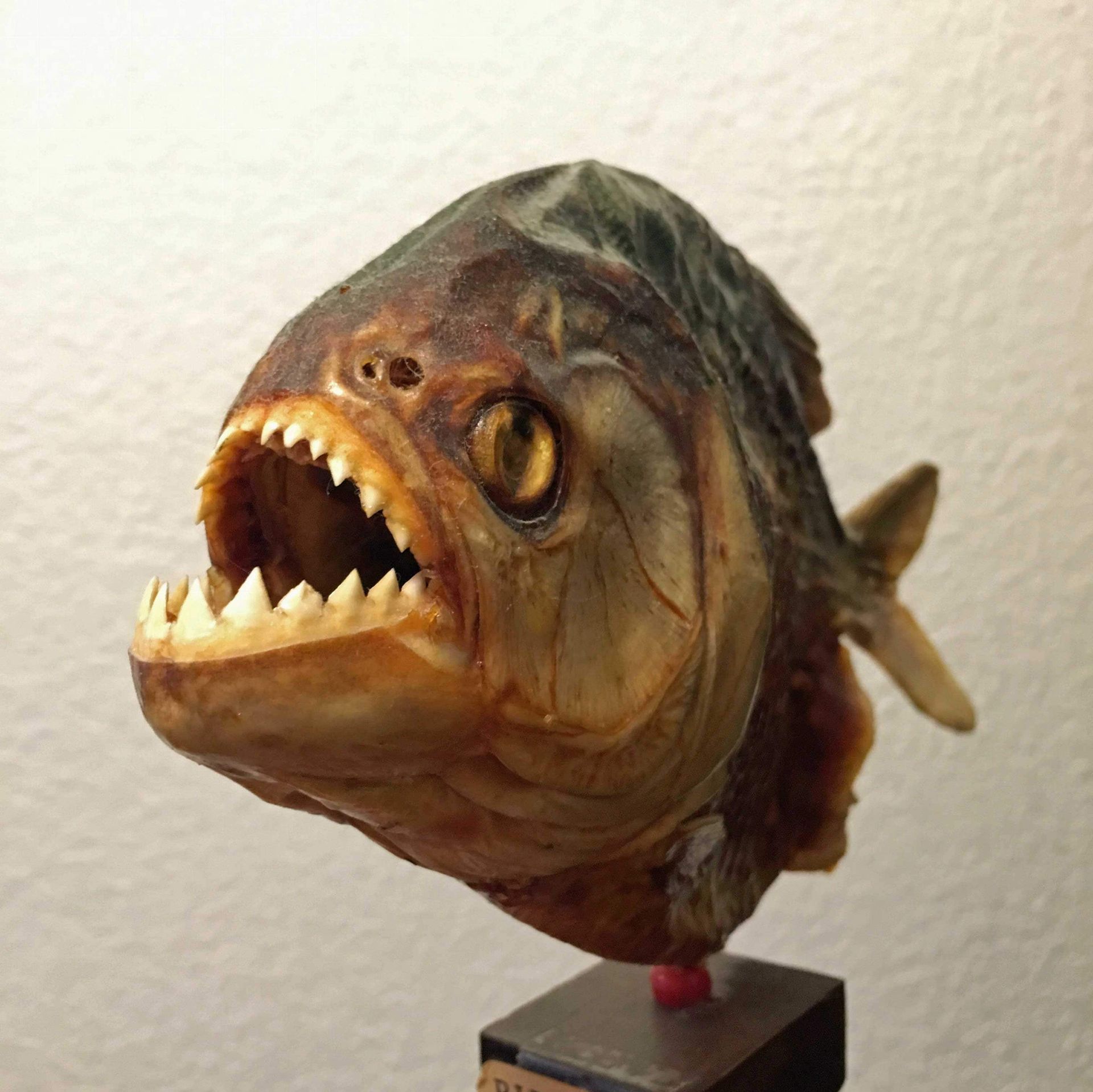 A statue of a fish with its mouth open
