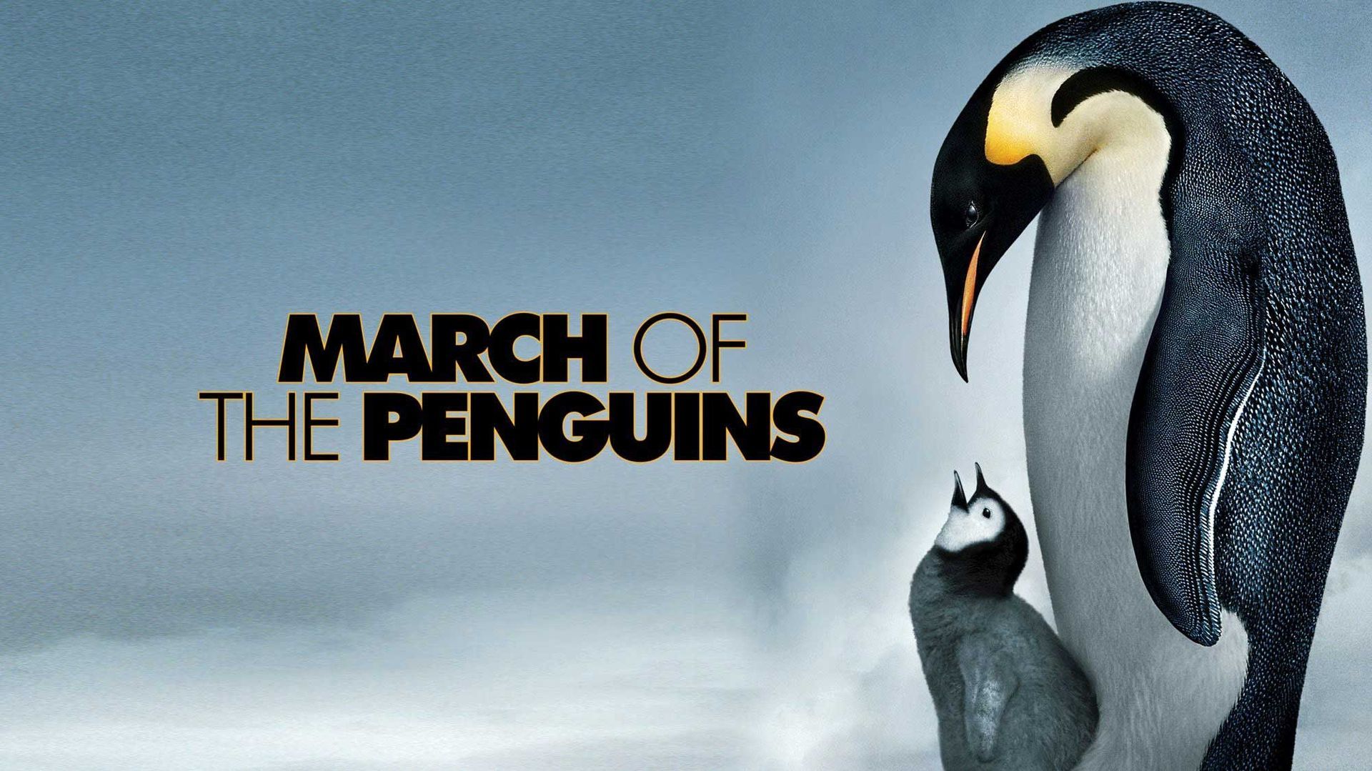 A movie poster for march of the penguins