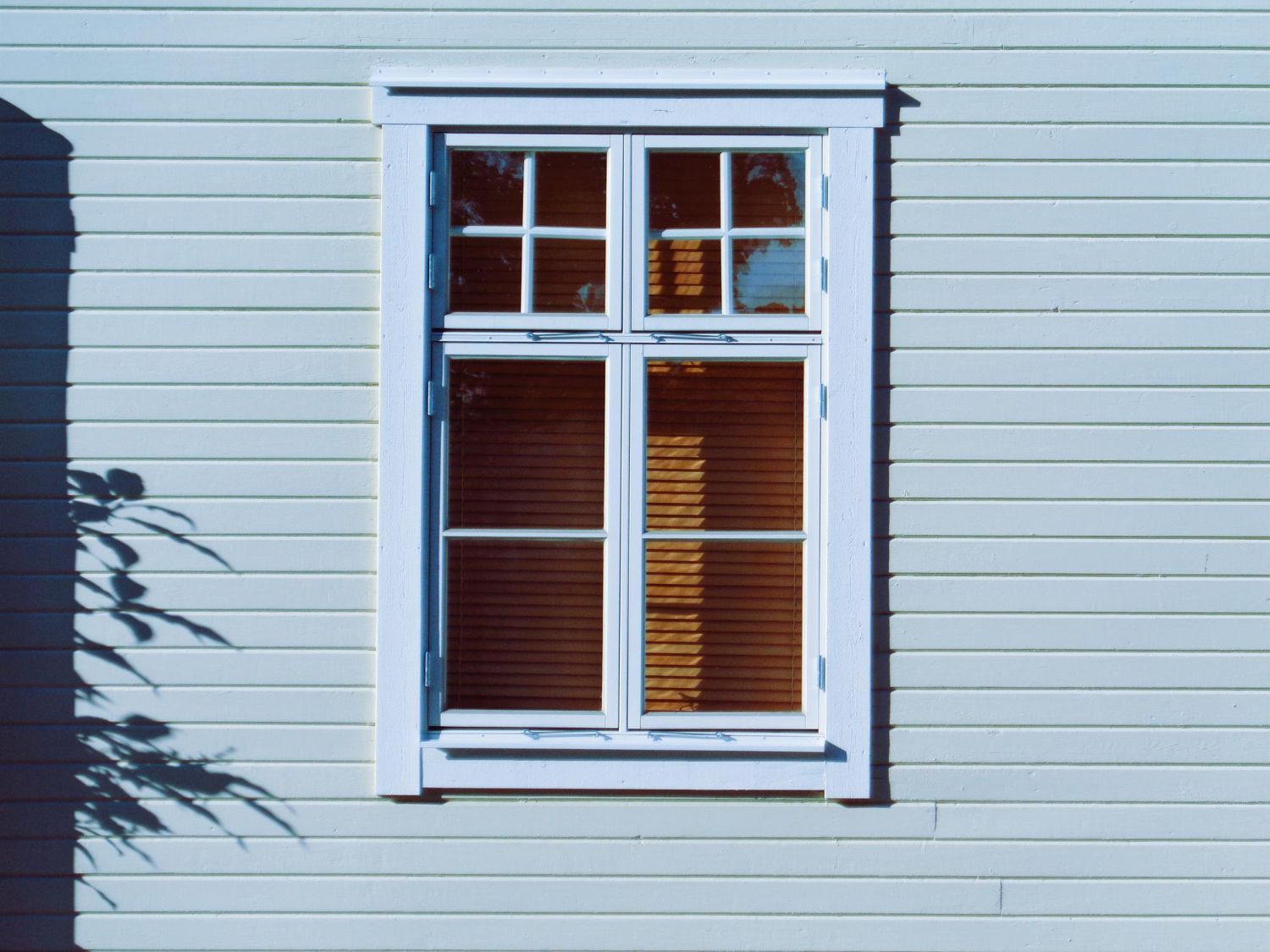 Window Film