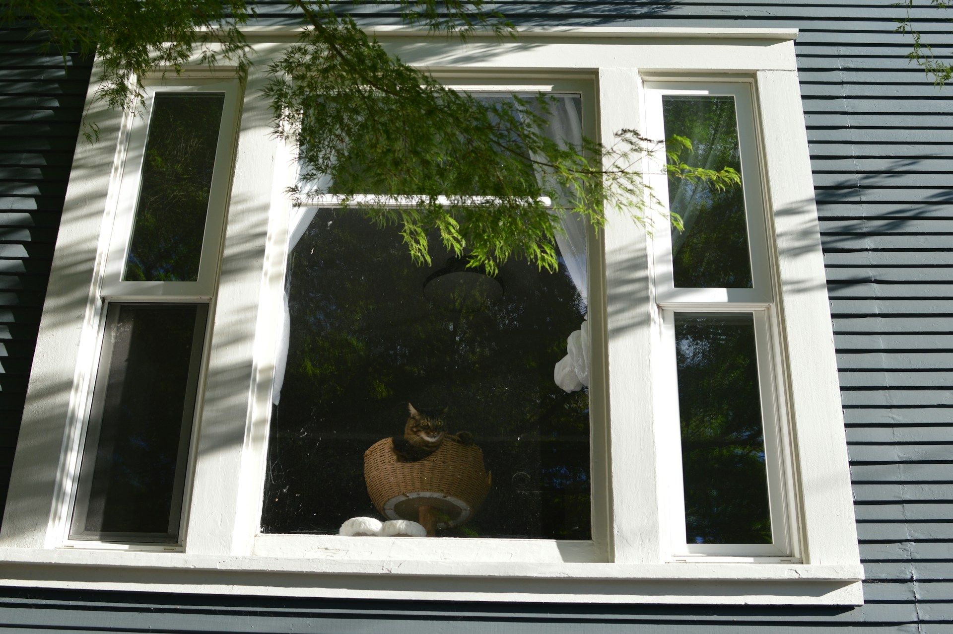 Privacy Window Film