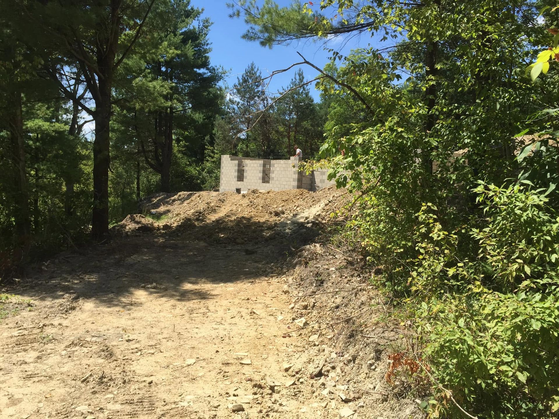 Dirt path through trees leading to a small concrete structure under a bright blue sky.