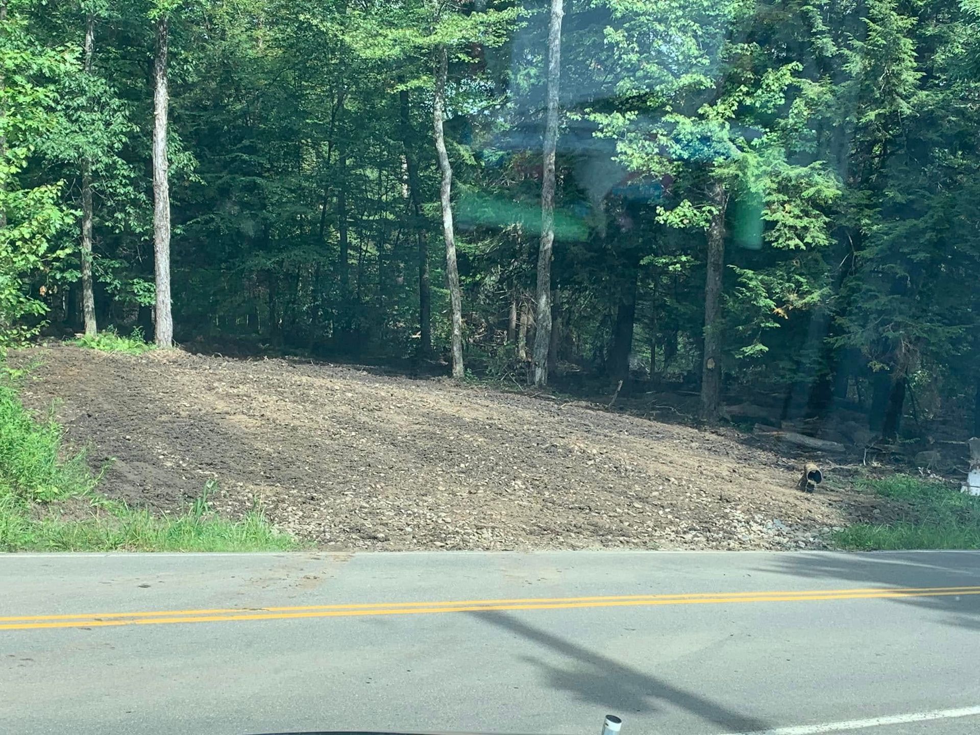 Roadside embankment with bare soil beside a wooded forest, next to a paved road.