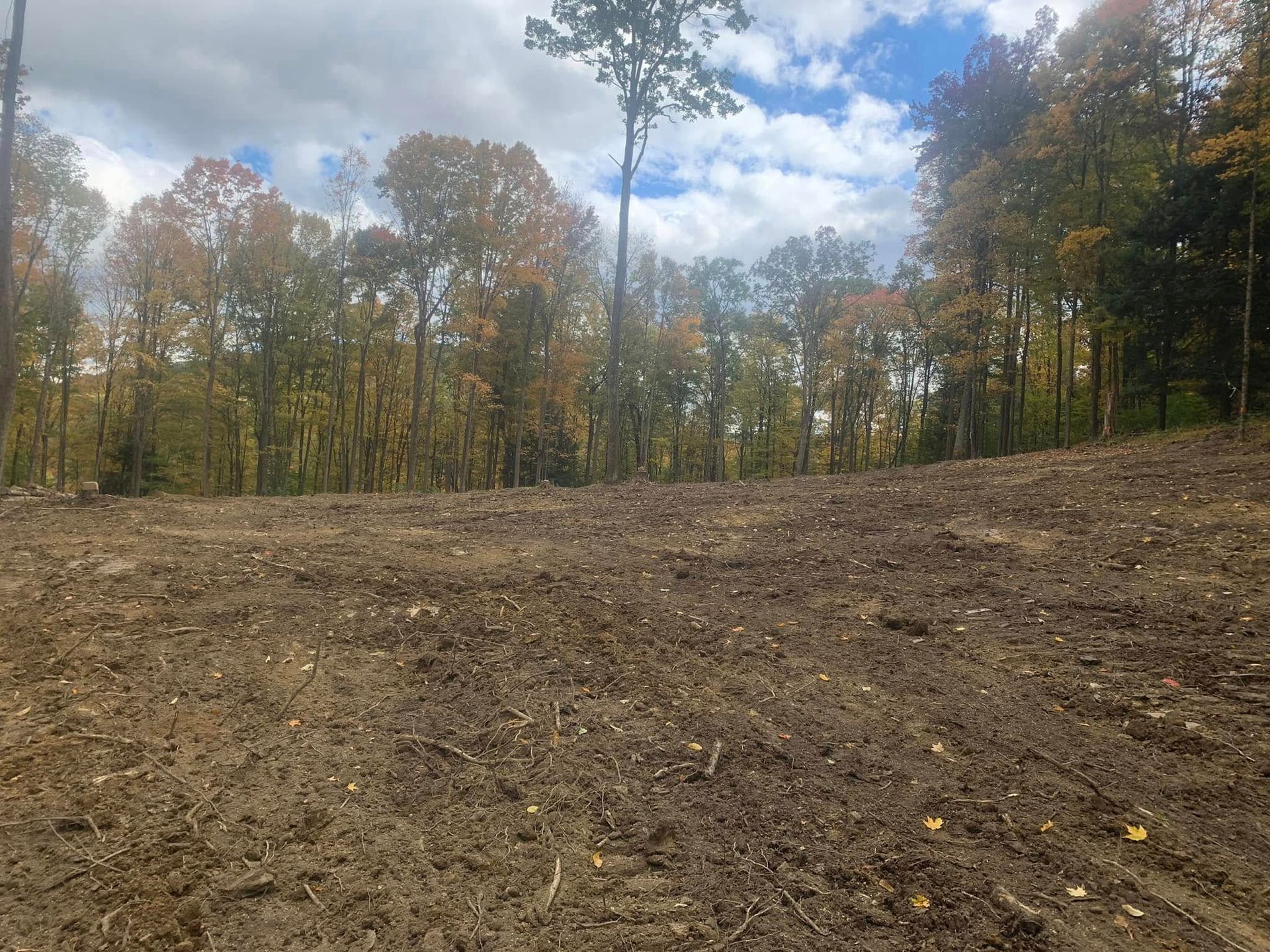 Cleared dirt field bordered by autumn trees under a partly cloudy sky