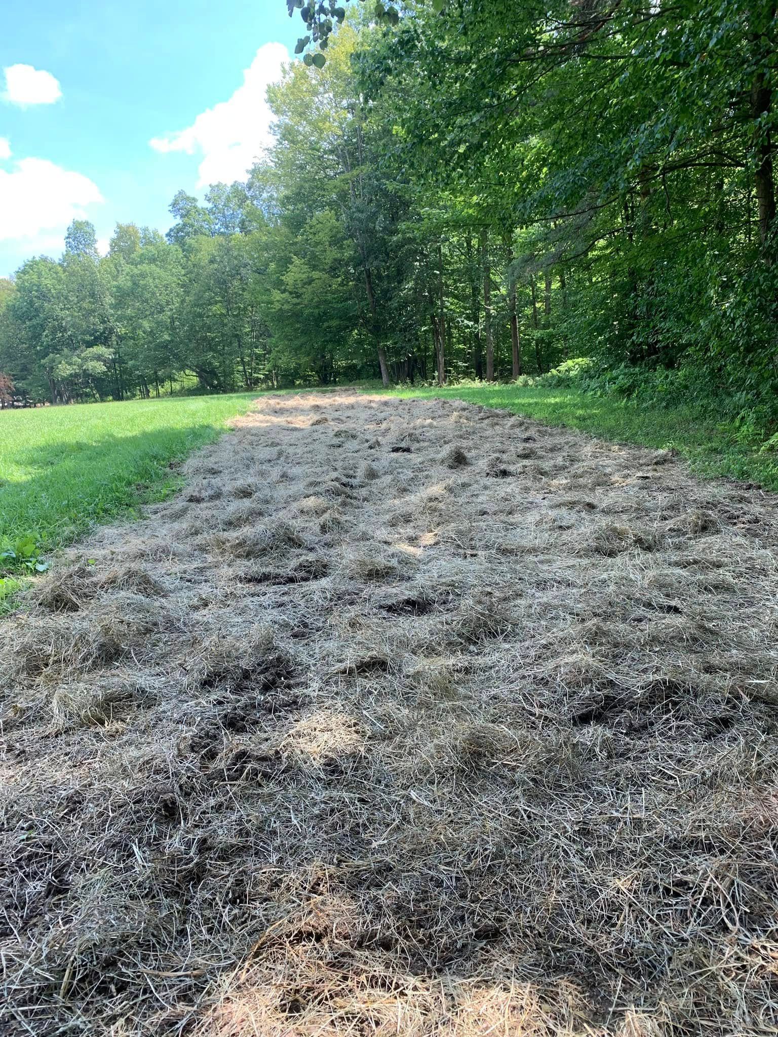 Freshly raked gray mulch path beside a green field and trees under a blue sky