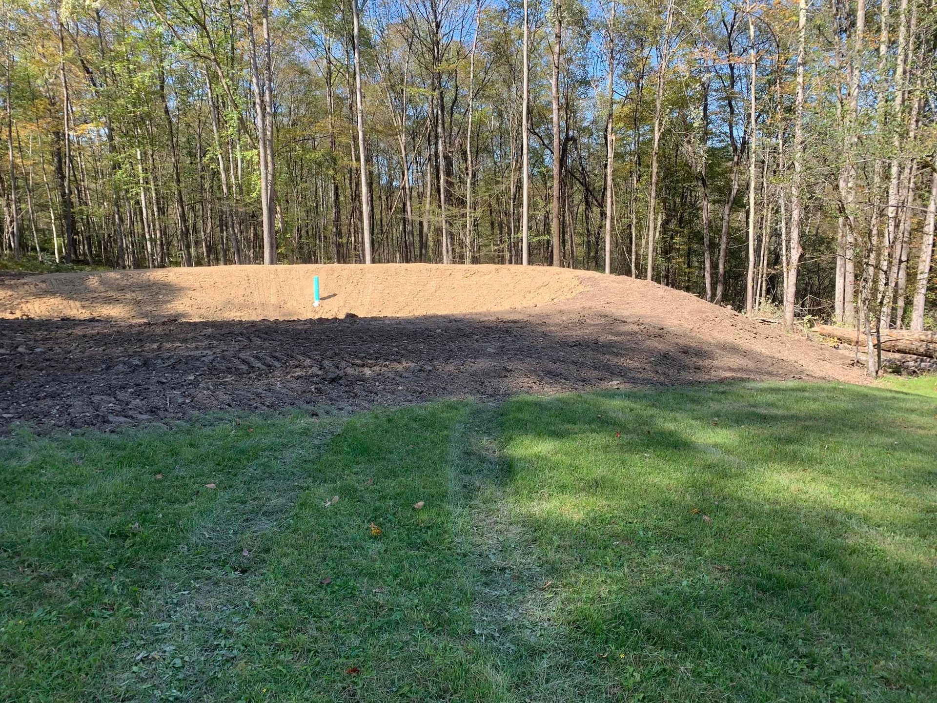 Grassy yard with a raised dirt mound and a small blue marker, bordered by trees under a clear sky.