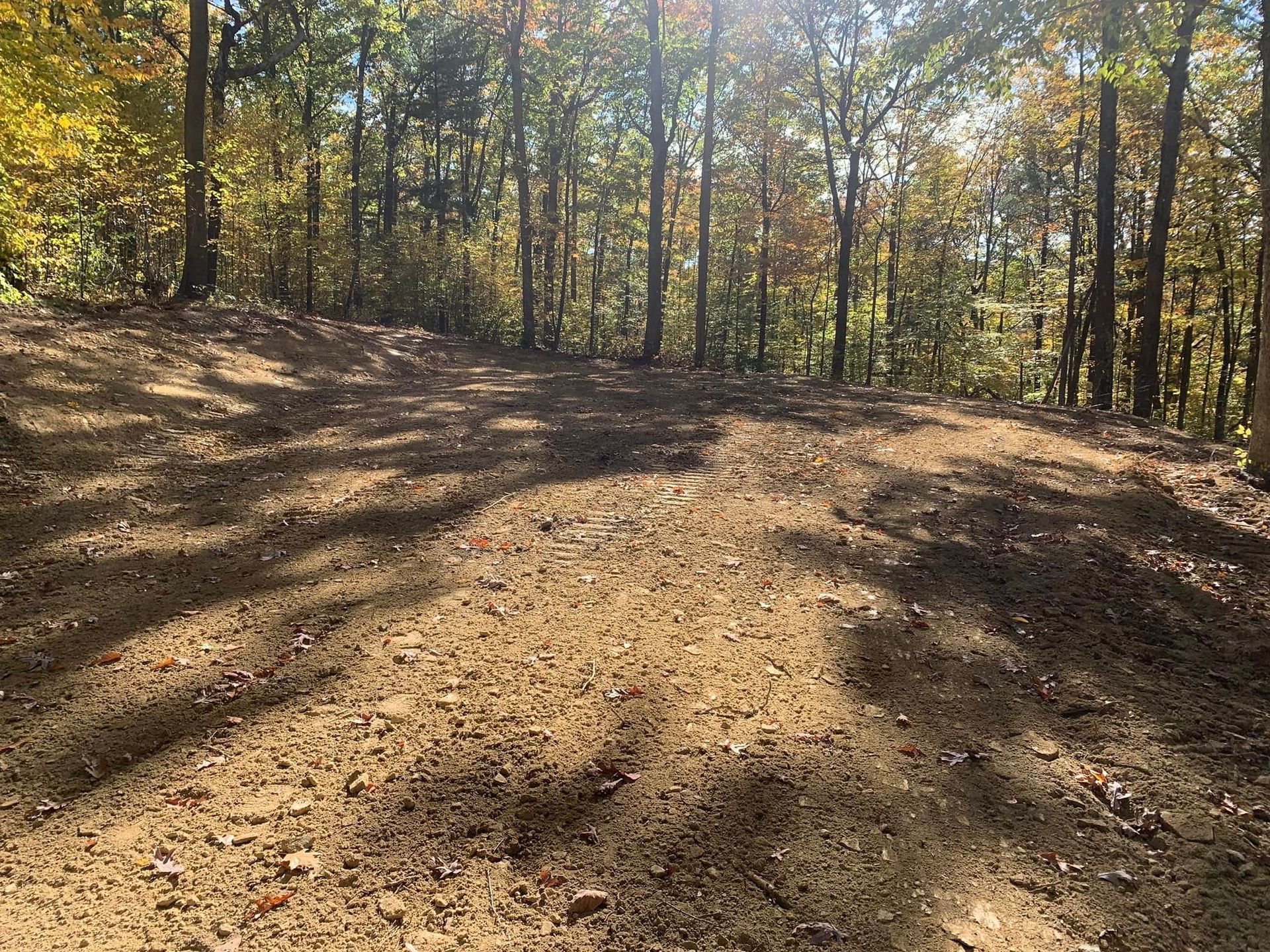 Sunlit dirt trail through a wooded forest with autumn leaves and long shadows