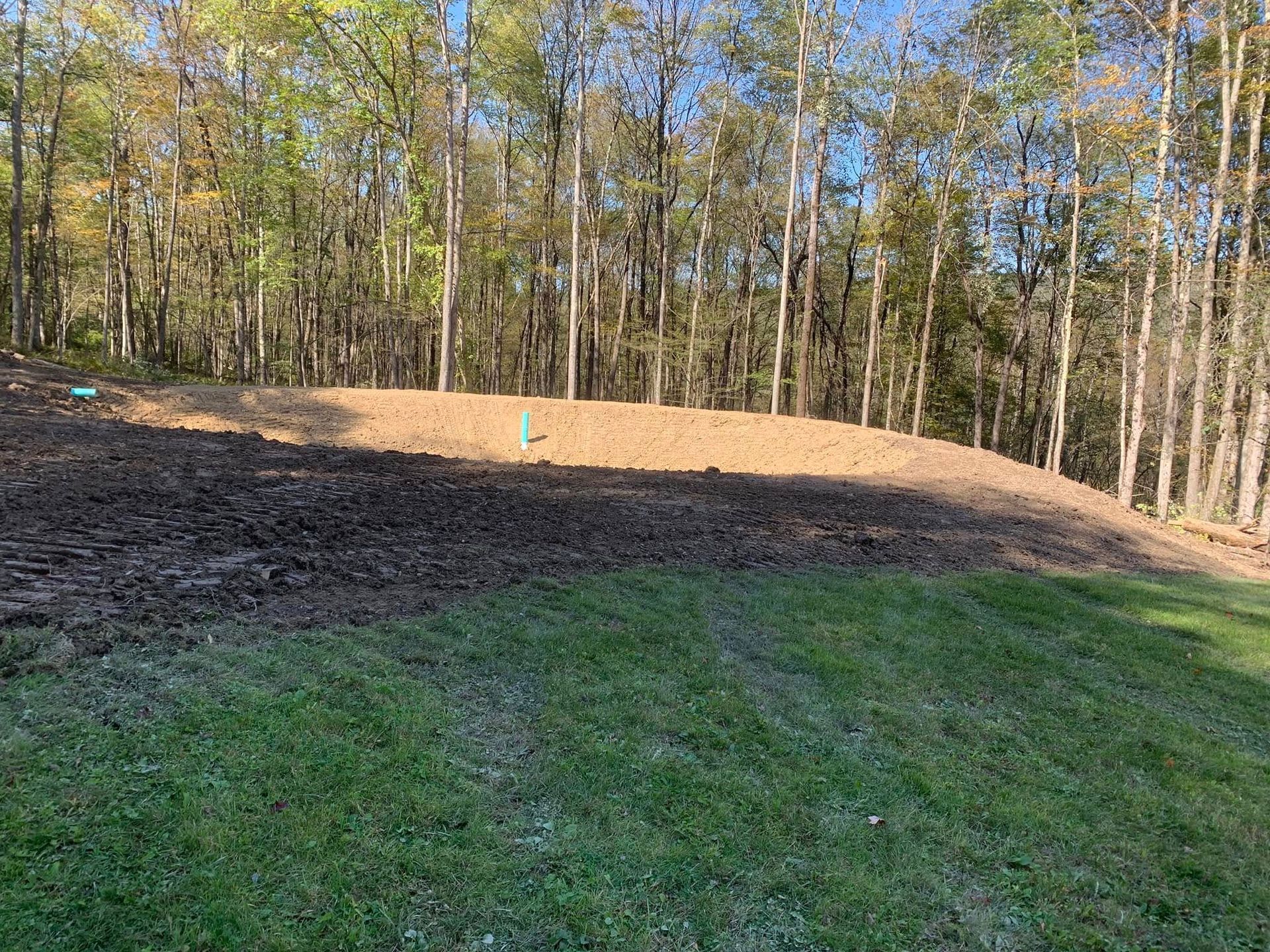 Wooded backyard with a grassy foreground, dirt slope, and a small green marker near the center.