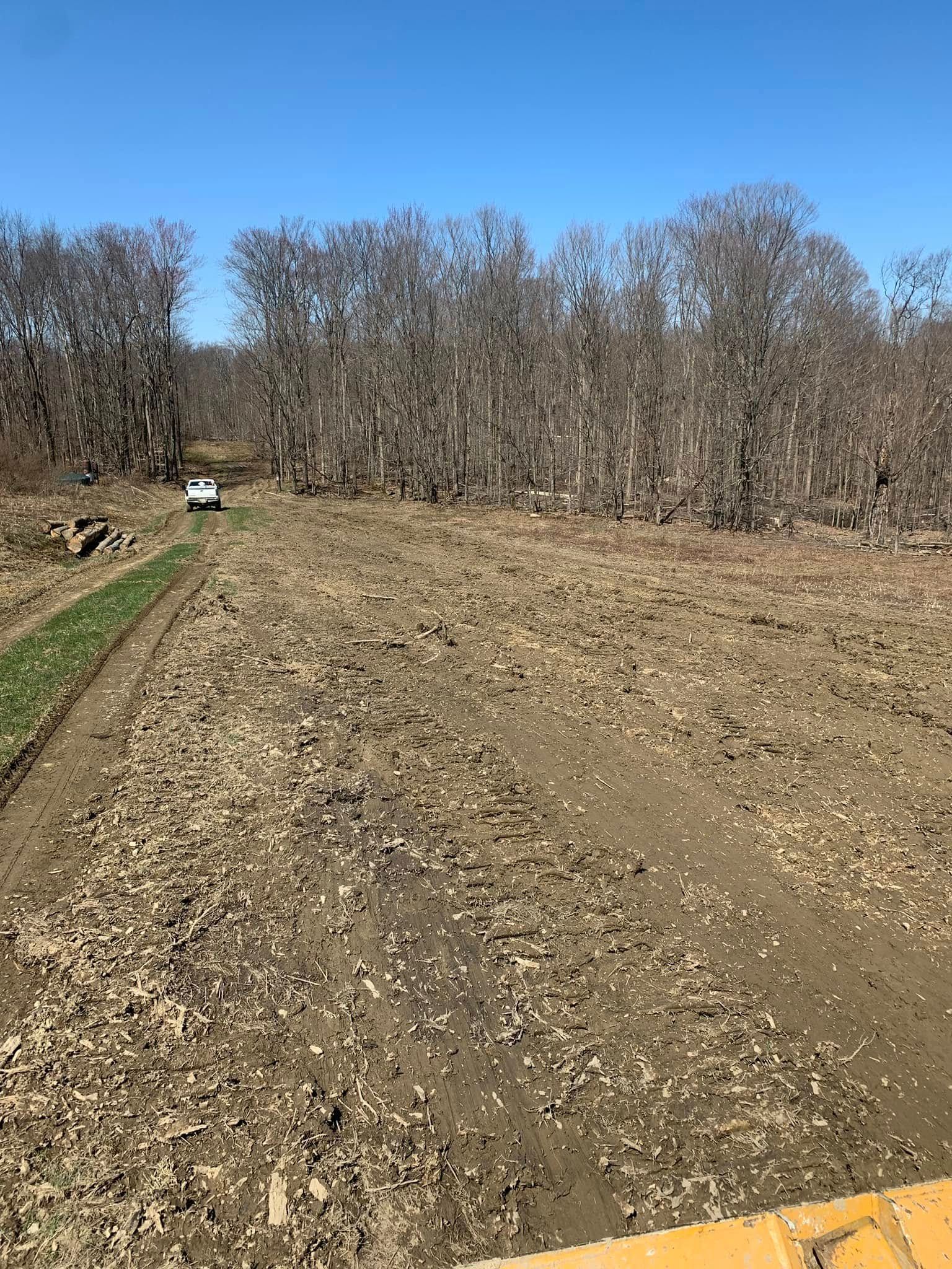 Plowed dirt field beside a line of leafless trees under a clear blue sky.