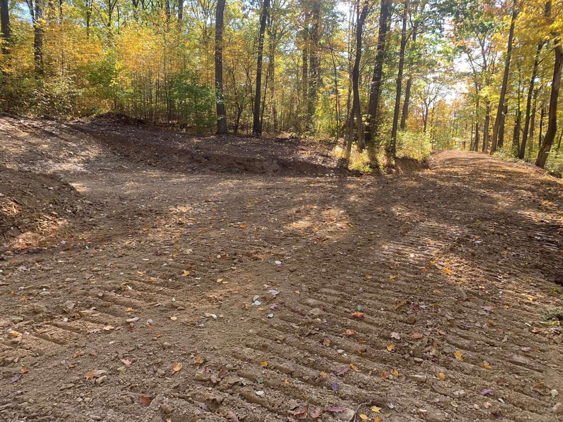 Wooded dirt path with tire tracks in autumn sunlight