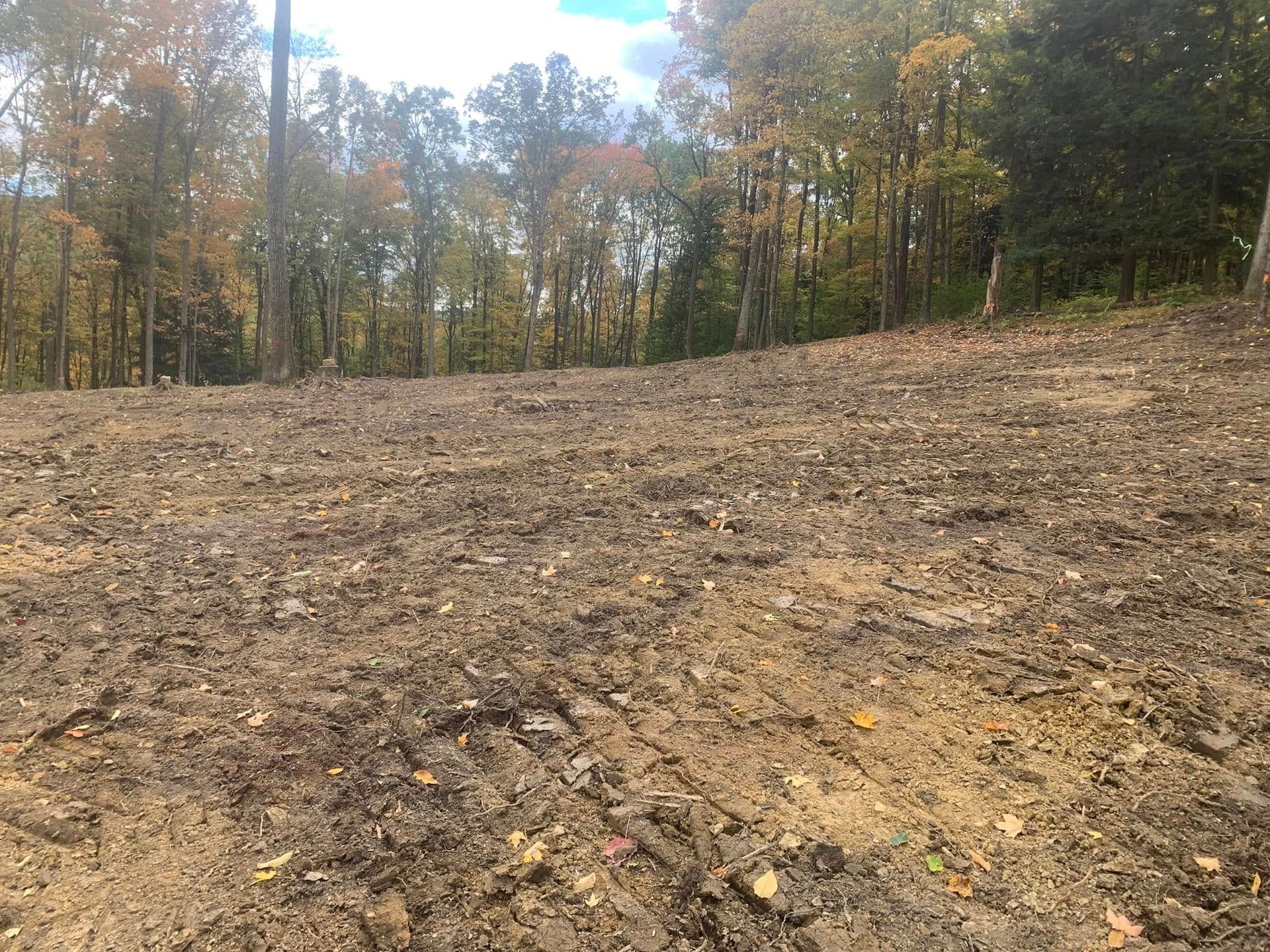 Bare dirt clearing beside a wooded forest with autumn-colored trees under a partly cloudy sky