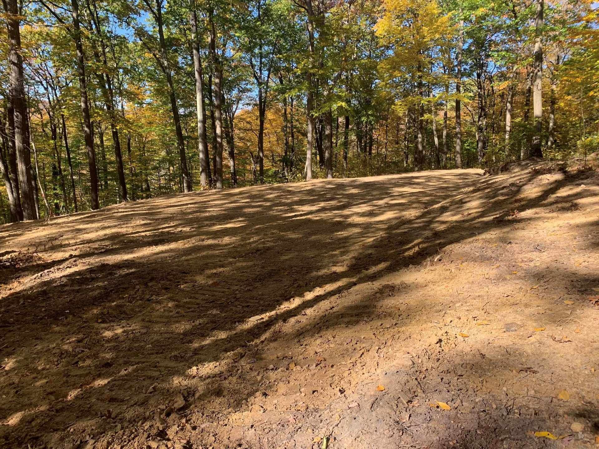 Wooded dirt clearing with autumn trees and long shadows on a sunny day