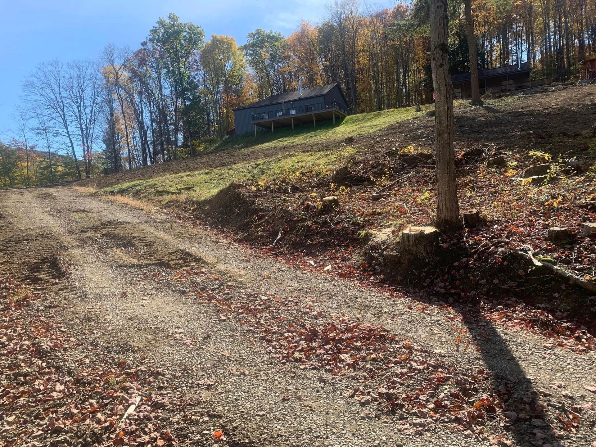 Dirt road on a sunny hillside with a small cabin and autumn trees in the background