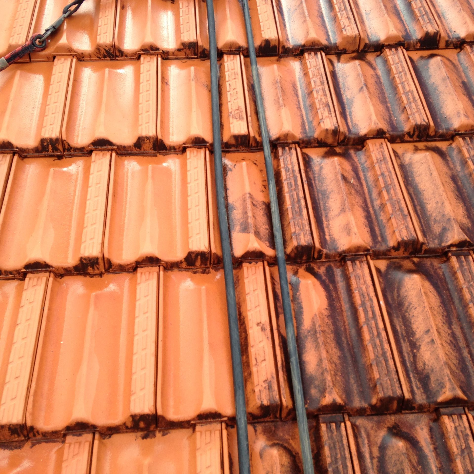 Man Removing the Dirt on Roof — Complete Pressure Cleaning in Glen Port Macquarie, NSW