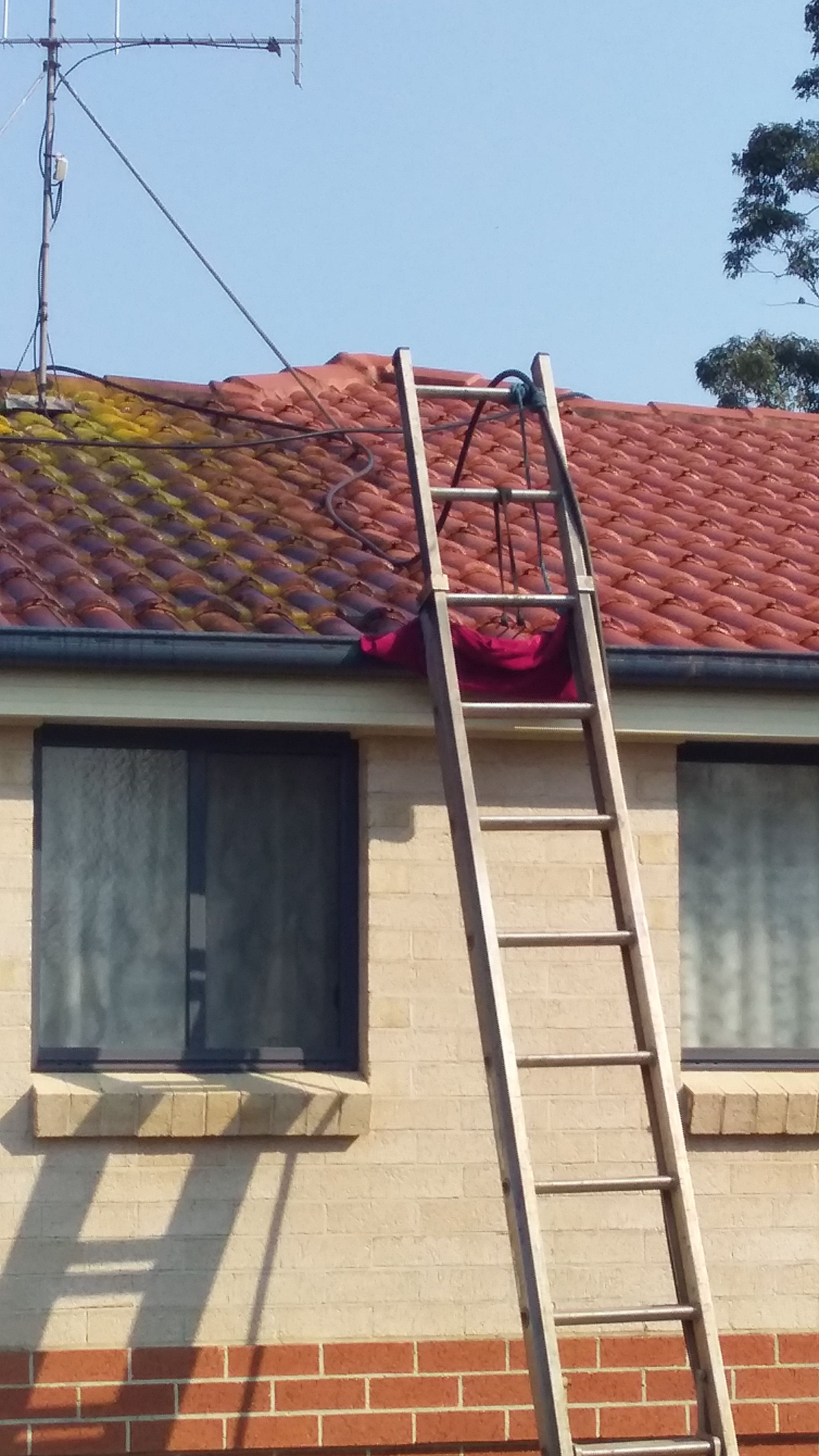Worker Washing Dirty Window with Pressure Washer — Complete Pressure Cleaning in Glen Port Macquarie, NSW