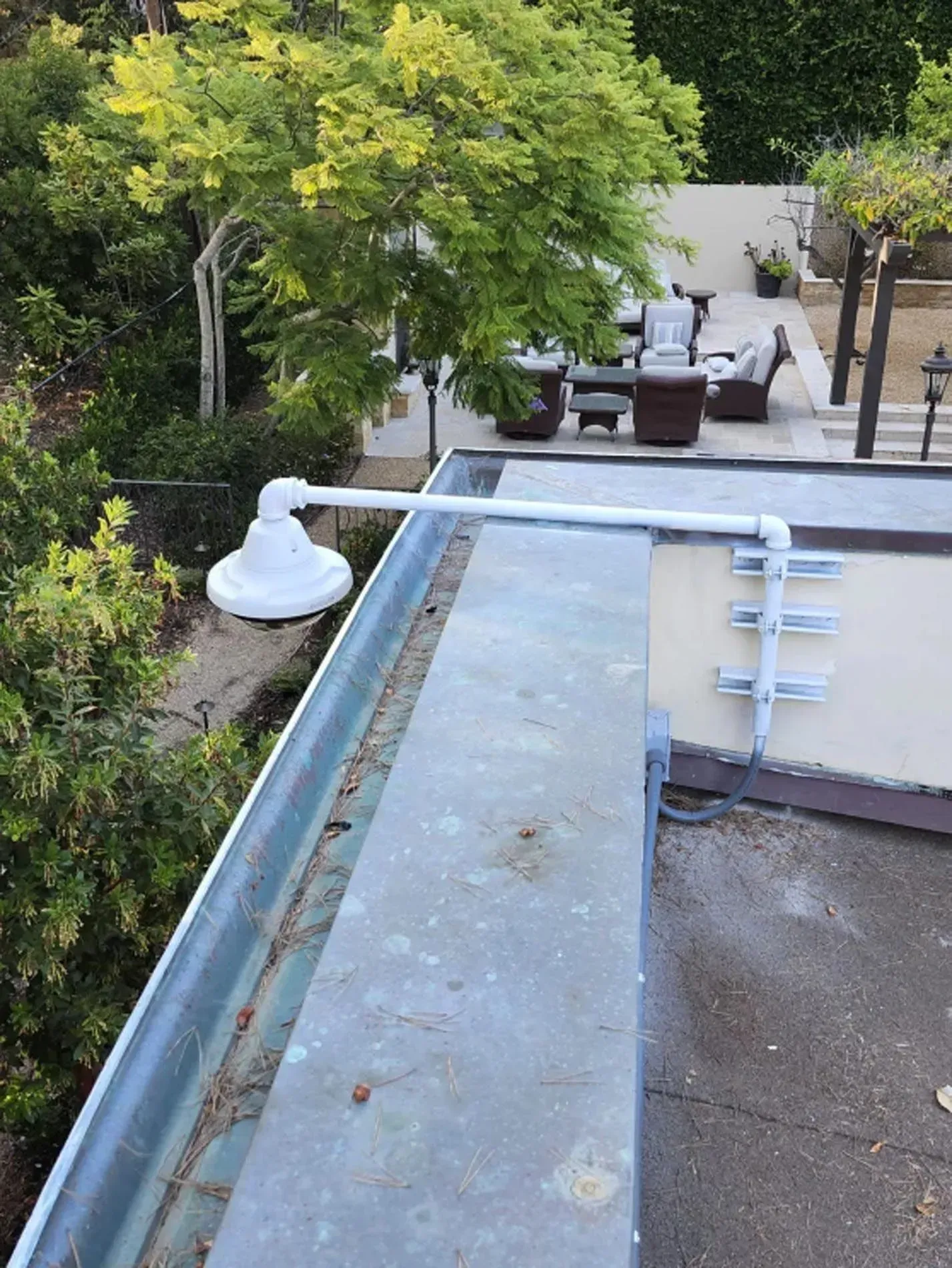 Rooftop terrace with a pool edge, lounge chairs, and leafy trees in the background