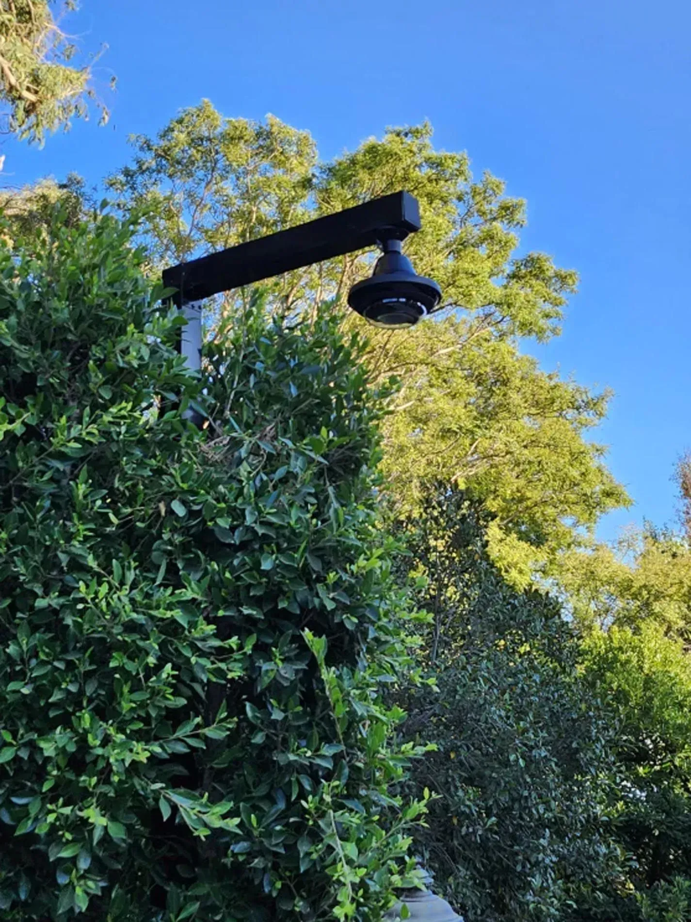 Black outdoor light fixture on a pole above dense green trees against a blue sky