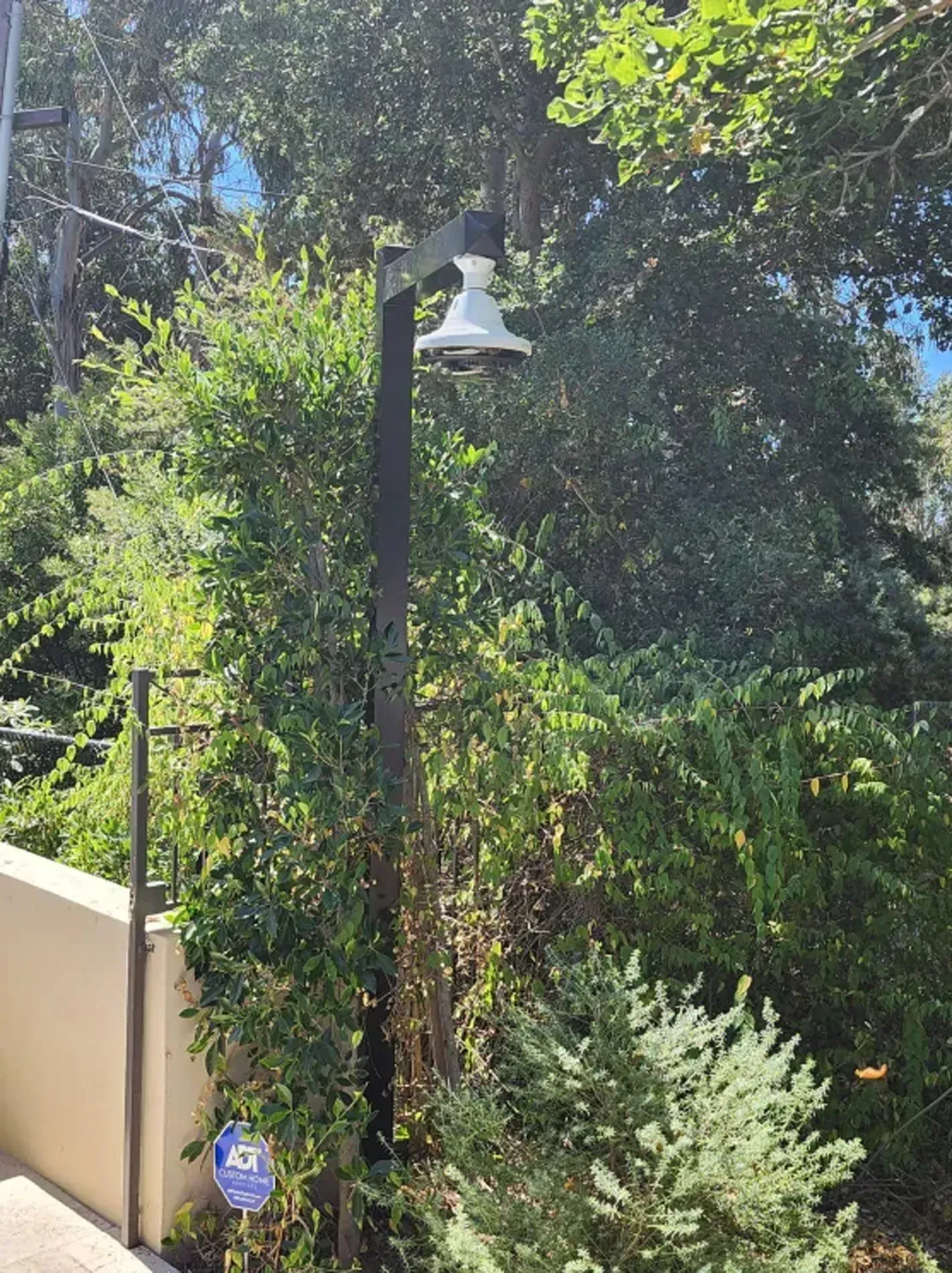 Outdoor garden lamp on a black pole beside a fence and dense green trees, with a beige wall and plants below.