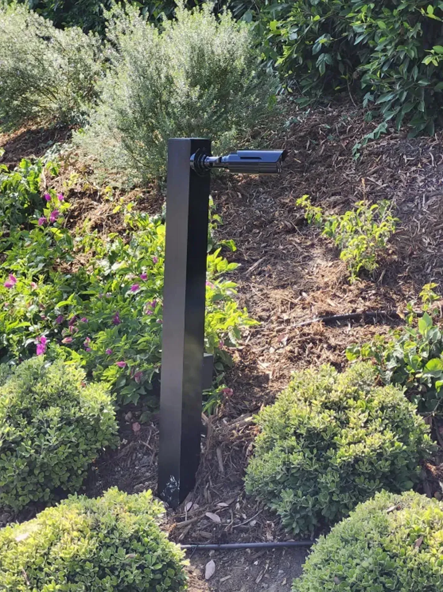 Black garden path light among shrubs and mulch in a landscaped yard