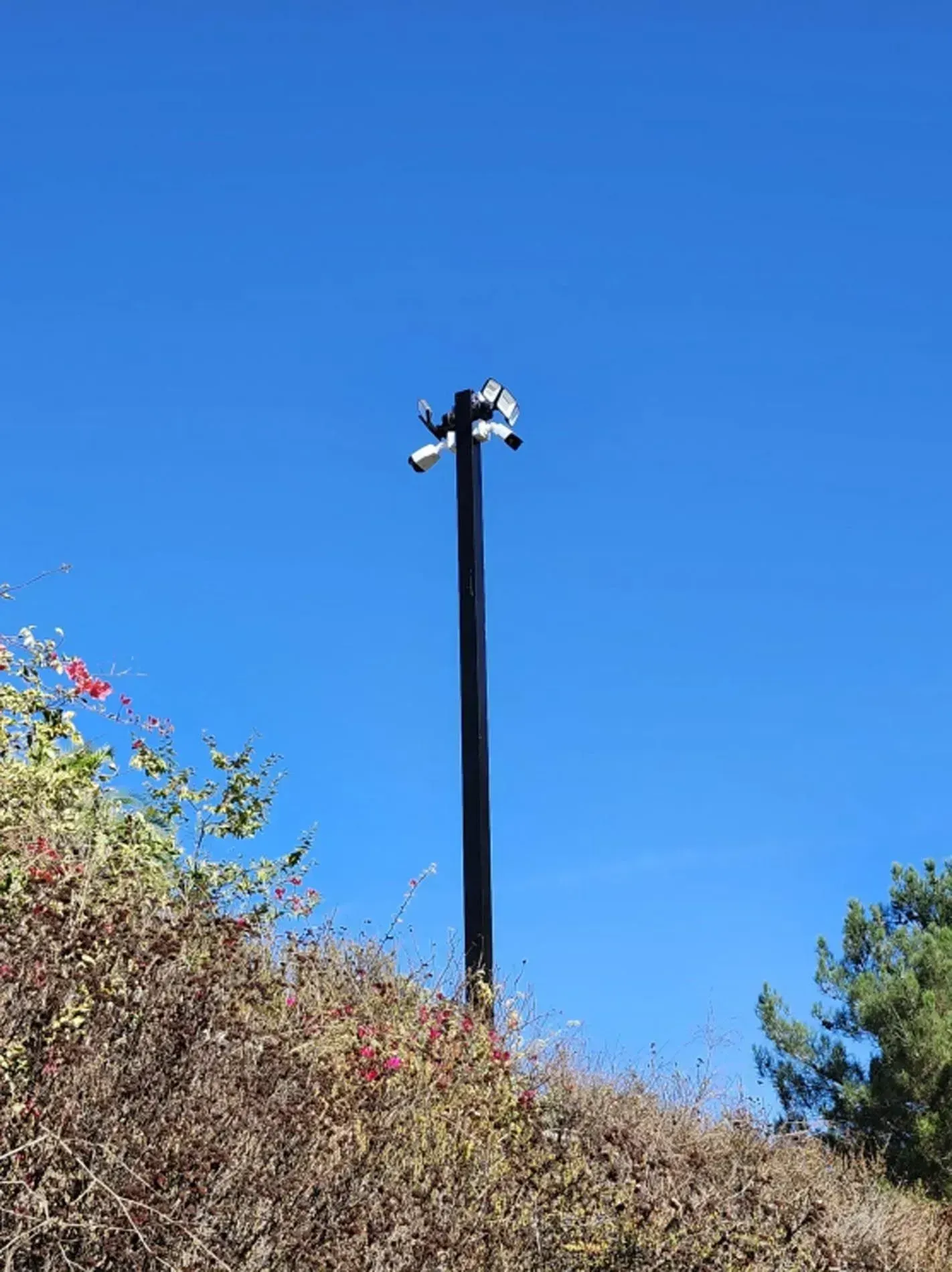 Tall black pole with loudspeakers against a bright blue sky, above trees and shrubs.