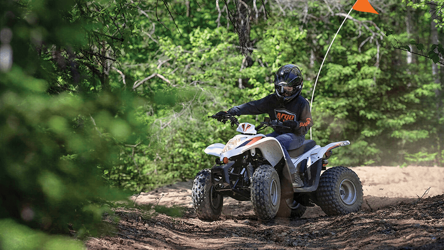 Argo Explorer All Terrain Vehicle (ATV).