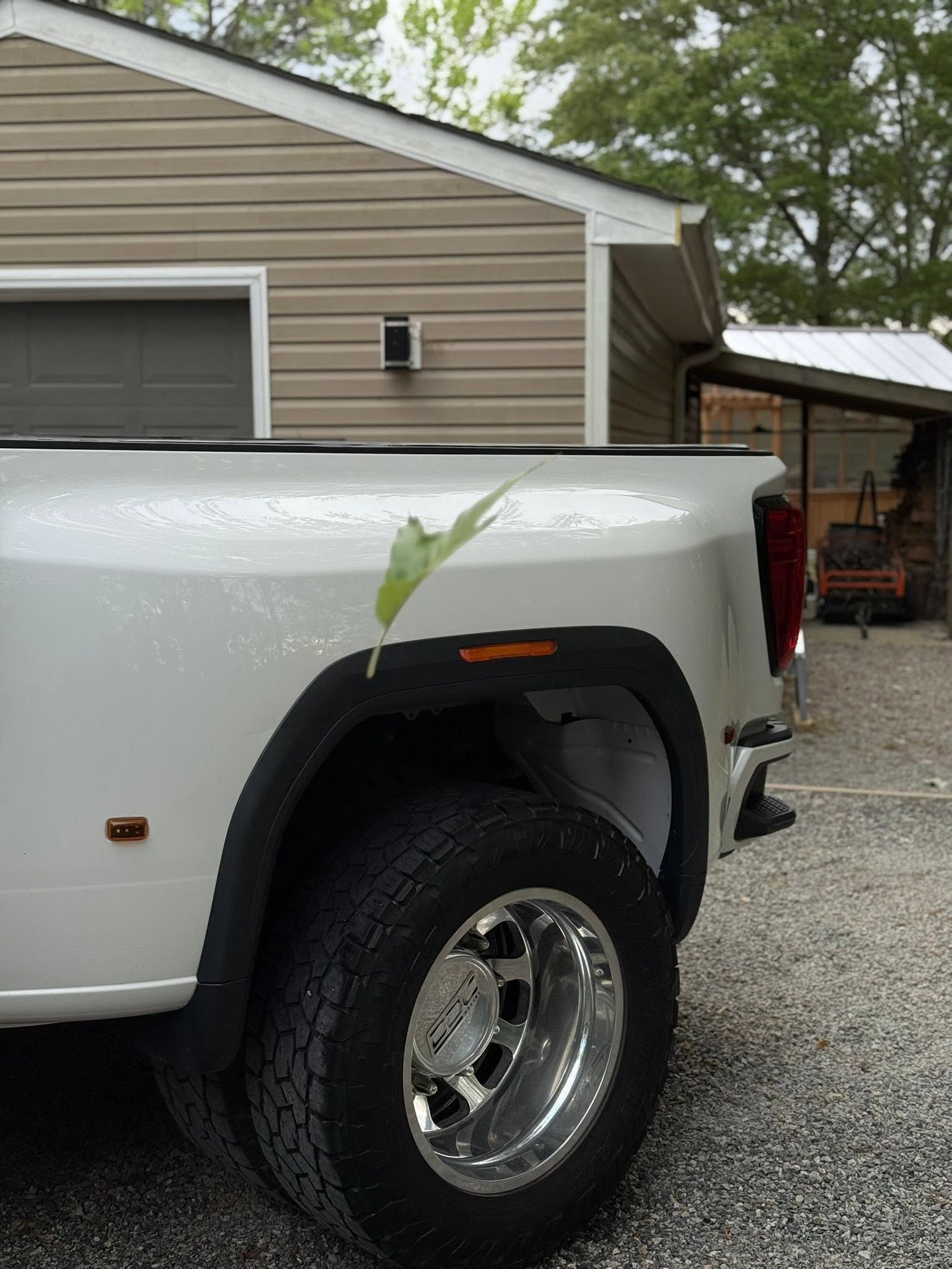 White pickup truck with green bird perched on the rear fender, parked beside a house.