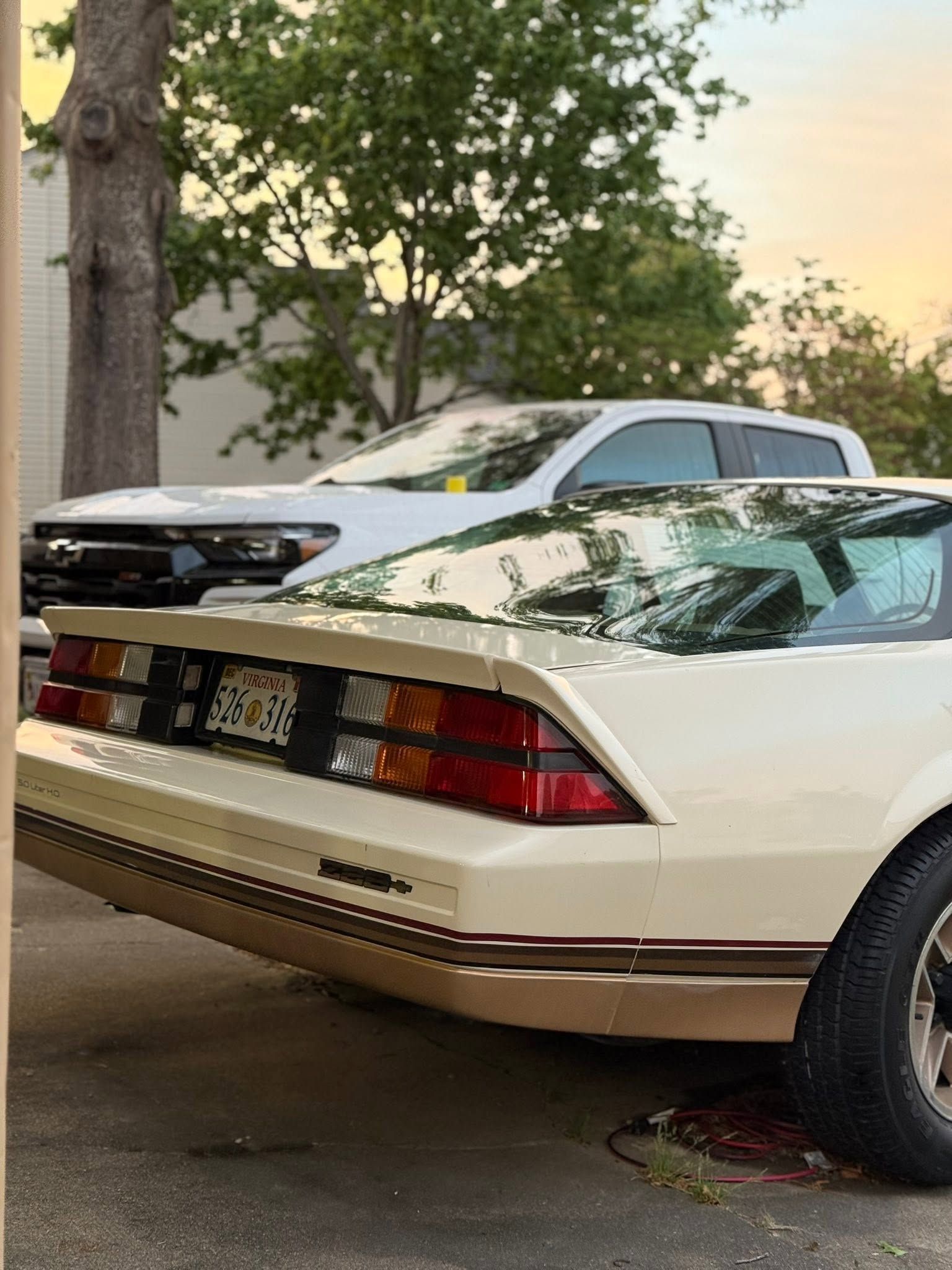 Rear view of a white sports car parked on a street beside trees at sunset