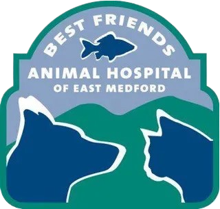 Best Friends Animal Hospital Of East Medford Best Friends Animal Hospital Of East Medford