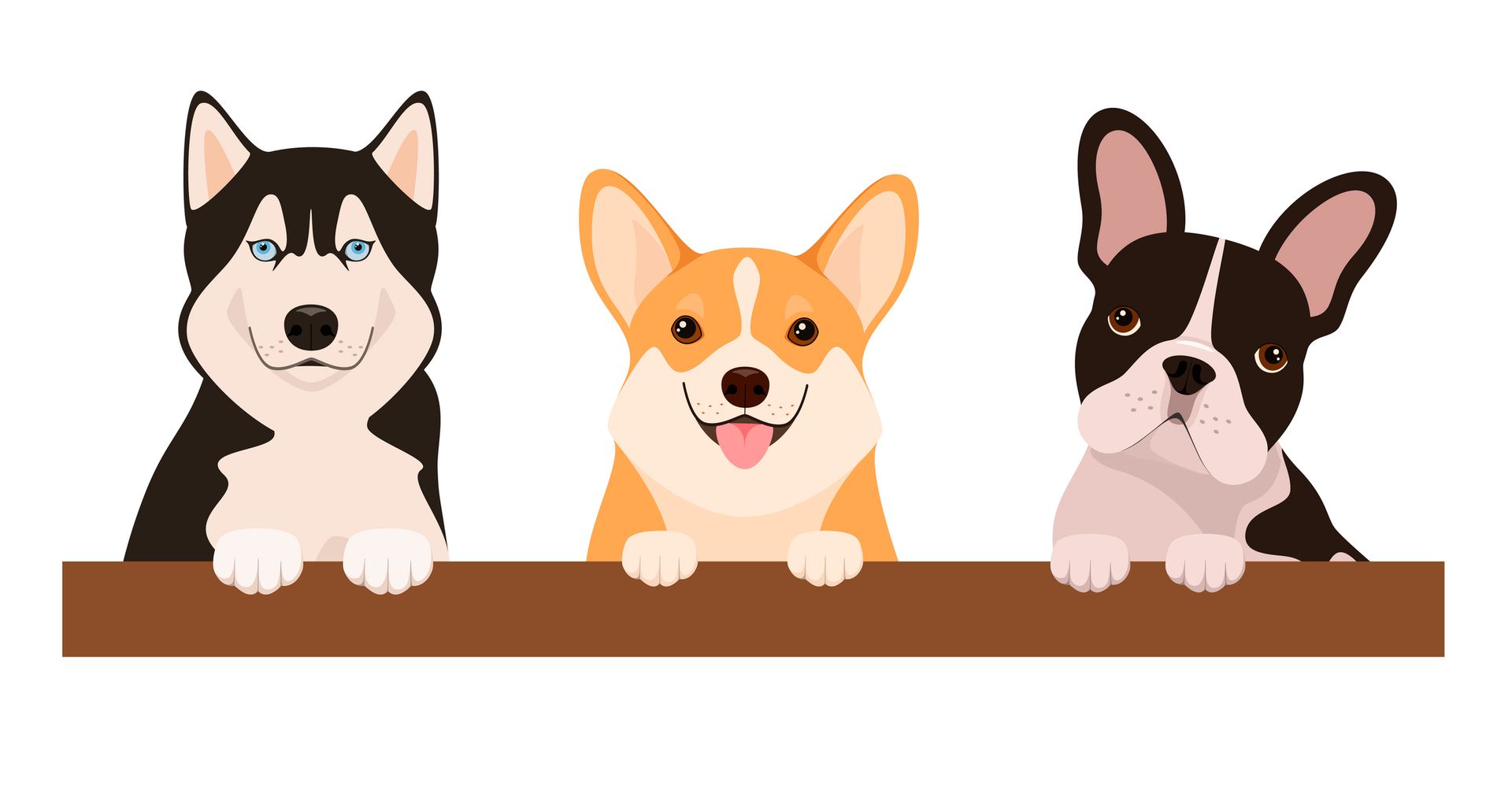 Three dogs are peeking over a wooden fence | Medford, OR | Best Friends Animal Hospital Of East Medford Three dogs are peeking over a wooden fence | Medford, OR | Best Friends Animal Hospital Of East Medford