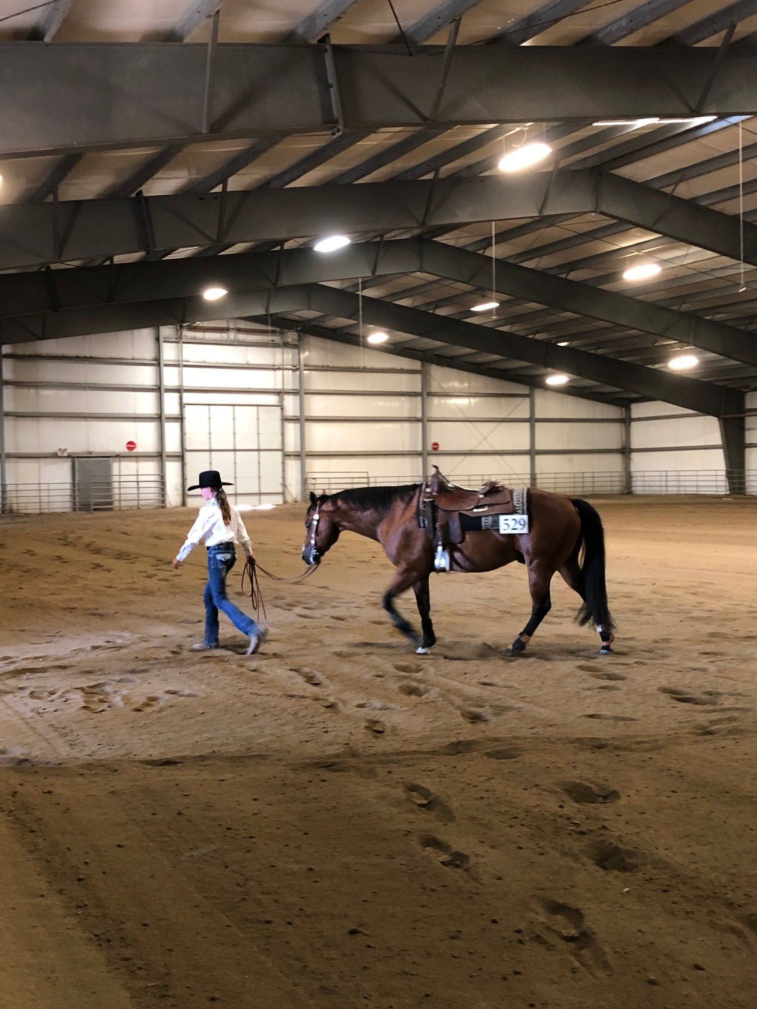A woman is walking a horse in a warehouse.