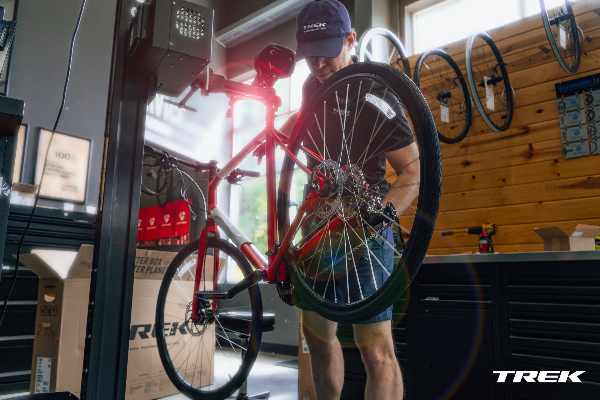 Cyclist working on a red bike in a Trek bike shop with wheels on the wall