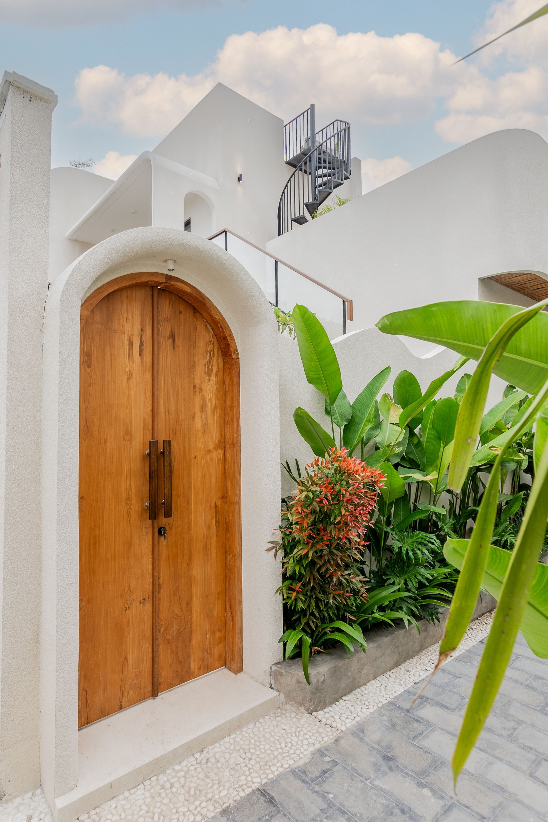 White arched wooden door beside lush green plants in a bright courtyard