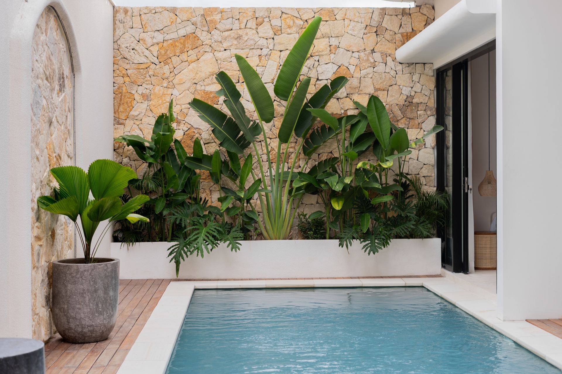Modern patio with a small turquoise pool, white walls, stone backdrop, and lush tropical plants.