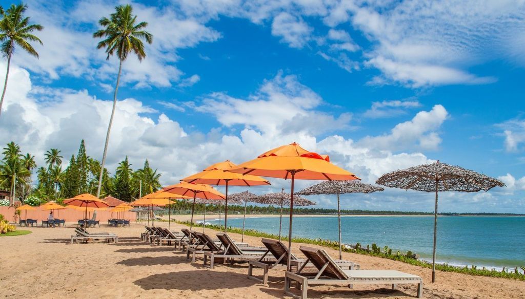 Uma praia com cadeiras e guarda-sóis em um dia ensolarado