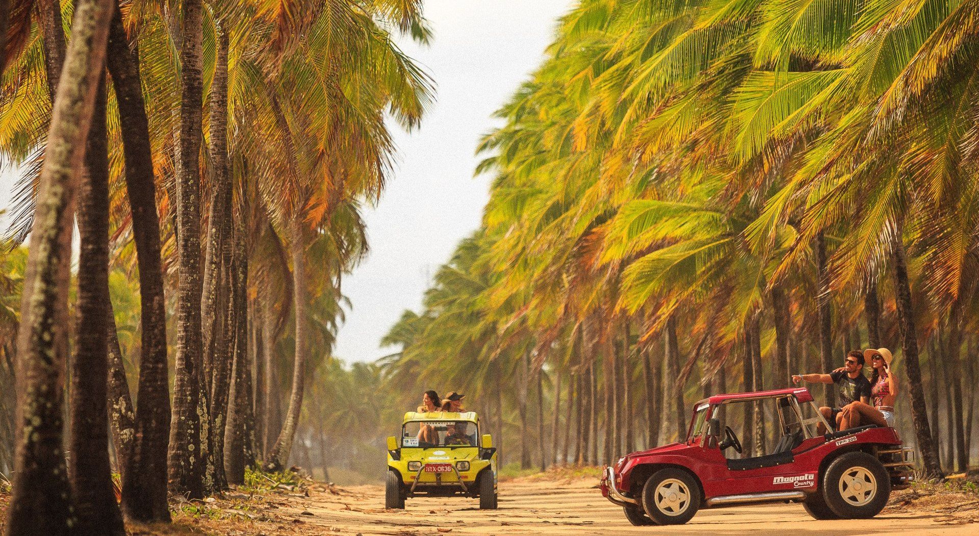 Dois buggies estão viajando por uma estrada de terra ladeada por palmeiras.