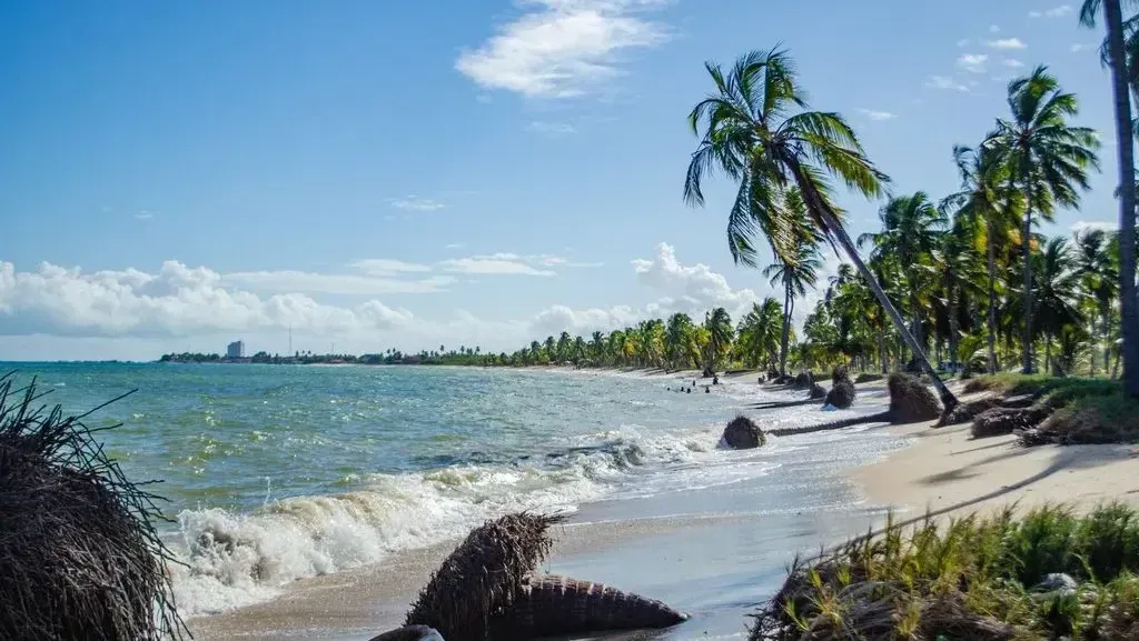 Uma praia tropical com palmeiras e ondas quebrando na costa.