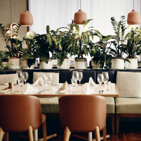 Copywriting and content production for Amora Hotel Jamison Sydney covering hospitality, tourism and events for newsletters, editorial features, online content and marketing collateral.