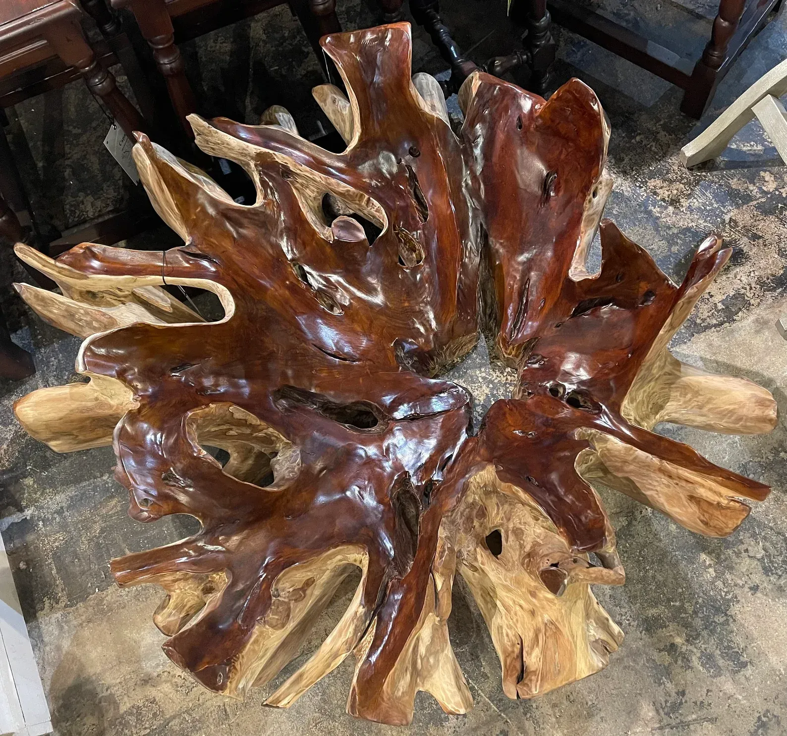 Round Glass Teak Root Coffee Table | ethenial.com